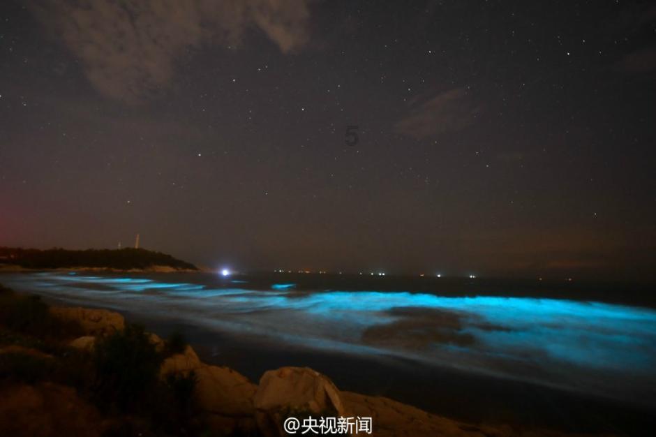 探探猫历险记2